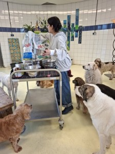 Winnaars Prins Petfoods