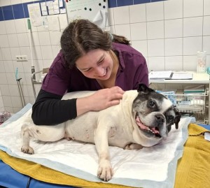 Luna & de kliniek