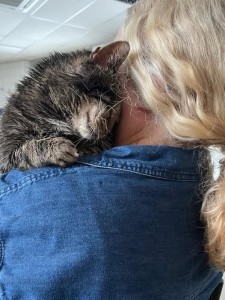 Een dag bij Dierenthuis