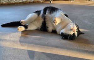 Inschrijven nieuwsbrief