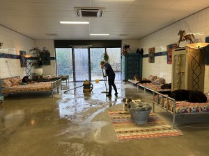 Zondag is helemaal geen rustdag bij ons