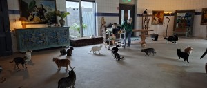 Nomnomnomnomnomnomnomnomnom