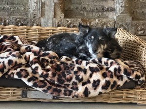 Stacey- haar verhaal