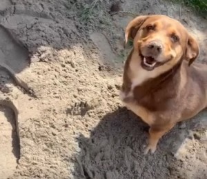 Lekker bezig Appie en Bianca! (video)