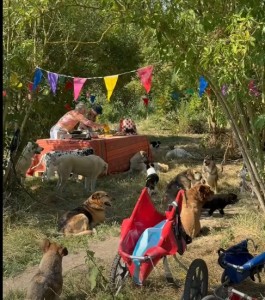 Beach Party bij Dierenthuis (video)