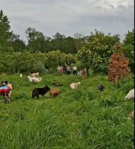 Een bezoekdag in beeld (video)