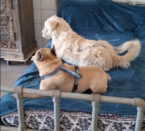 Billy en Betty (video)
