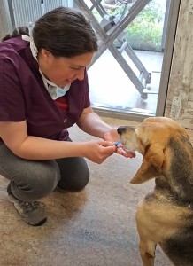 Faith bij dierenarts Lanny (video)